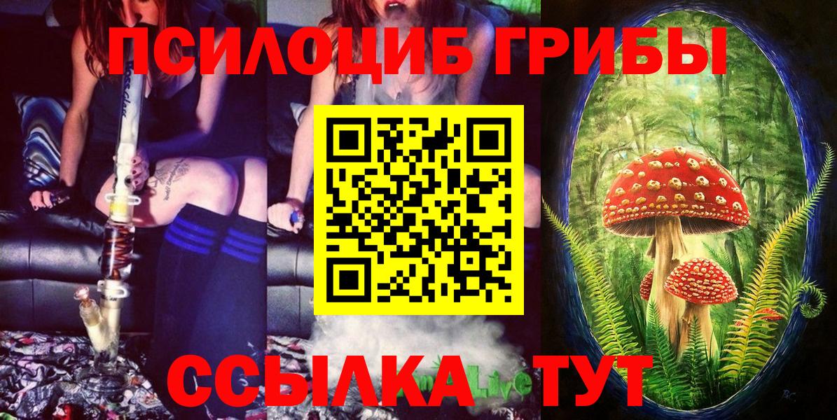 Троицк  Галлюциногенные грибы GOLDEN TEACHER  Вход с VPN 