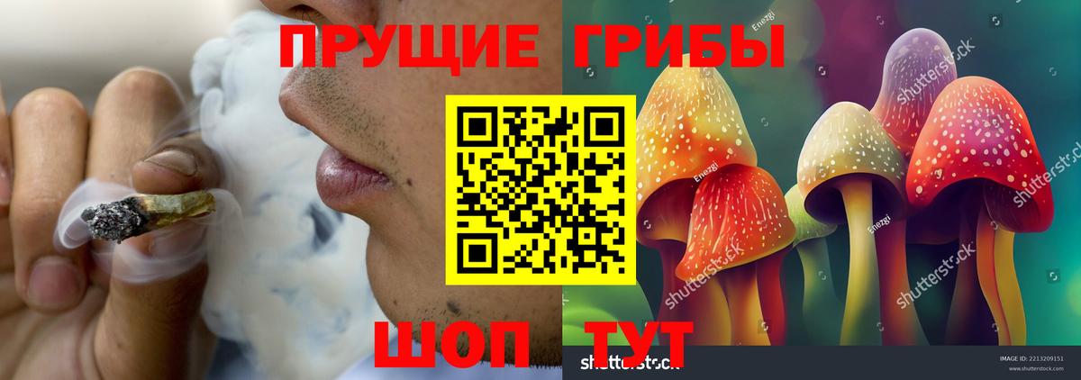 Псилоцибиновые грибы мицелий Троицк